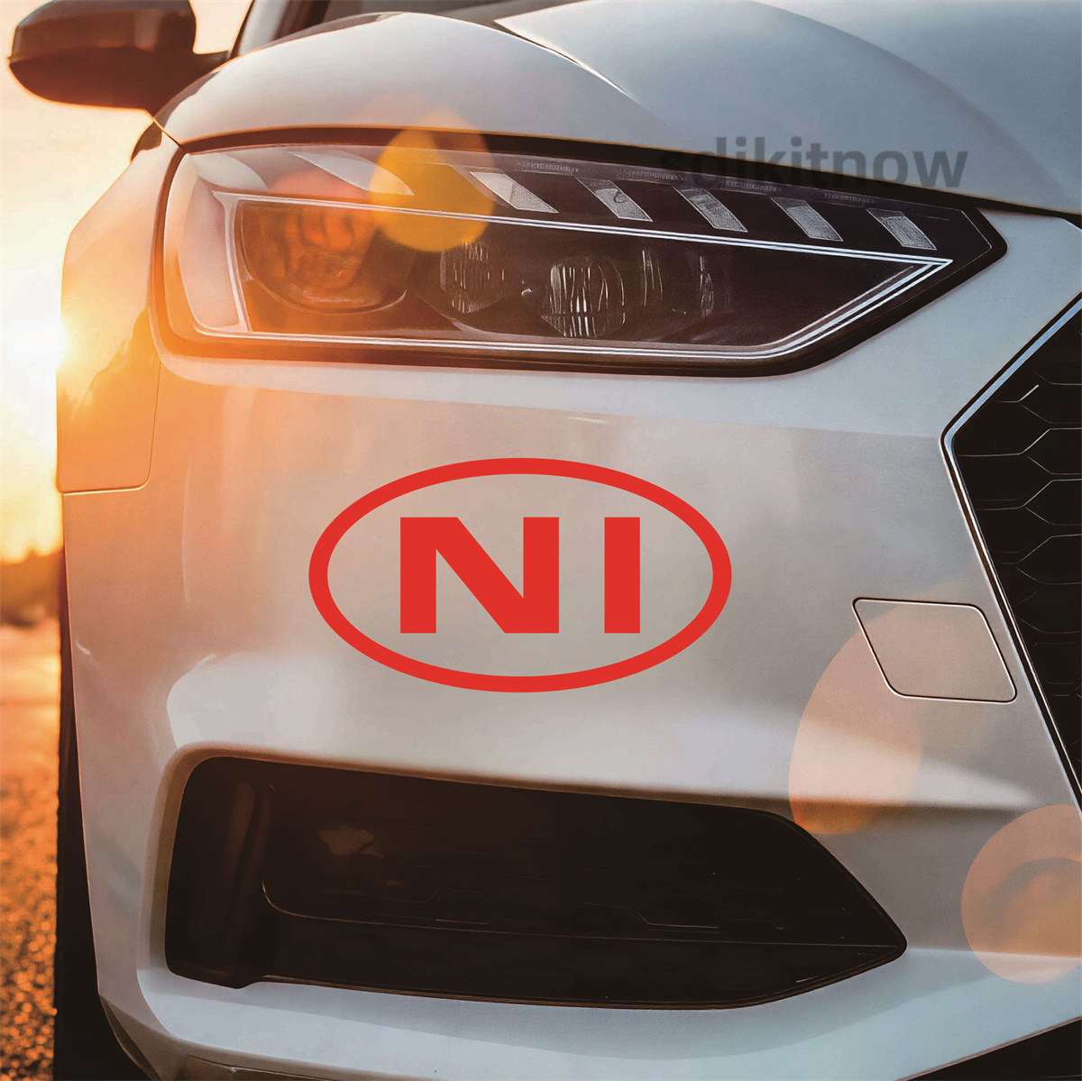 Ovale Noord-Ierland NI Letter  - Car Accessories Ireland recensie en prijs